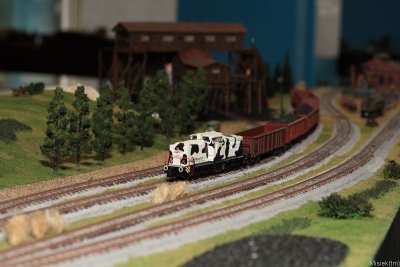 IMG_17054.JPG