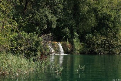 IMG_14833.JPG