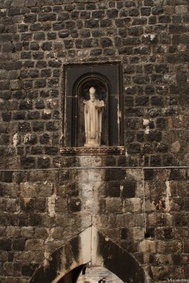 IMG_15356.JPG