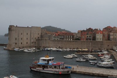 IMG_15482.JPG