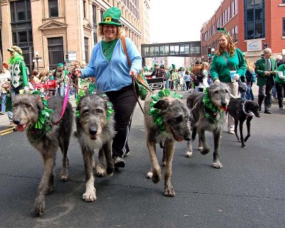 43rd Annual Saint Patrick's Association