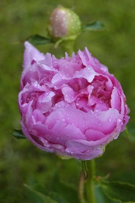 6-8-10.jpg