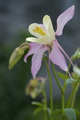6-11-10.jpg