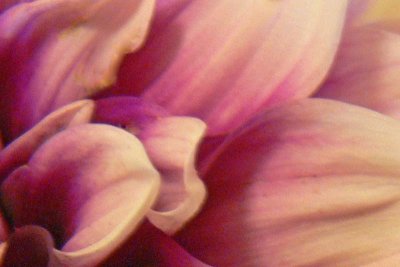 8-20-10.jpg
