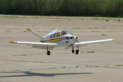  Giant Scale Fly-In 2010