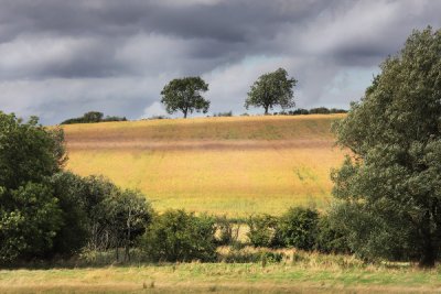 Colourful Crop, Oxfordshire