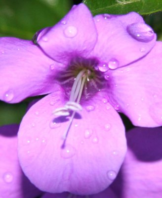 g1/54/745054/3/93325729.OoW5Gn6f.jpg