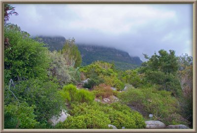 Back of Table Mountain (1095)