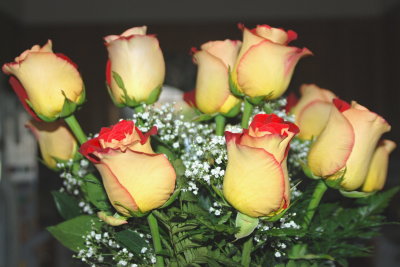 Valentine roses from Mike