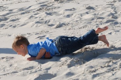 Brooks rolling in the sand