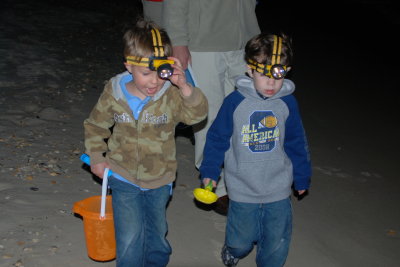 Brooks and Carter focused on the ground