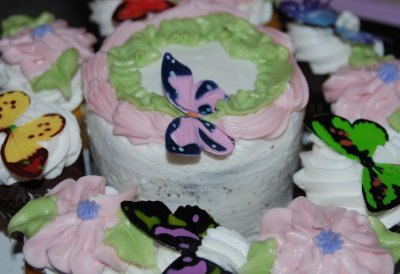 cake and cupcakes