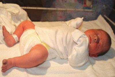 Addison Grace