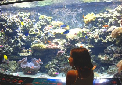 Paige at the aquarium