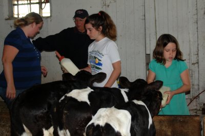 Time to feed the calves