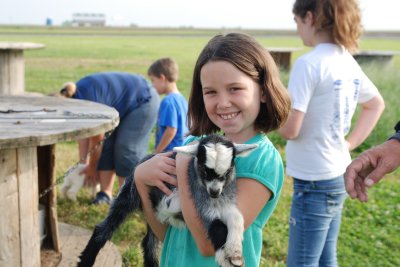 The farm had 3 triplet goats