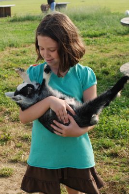 Paige loved the 3 little goats