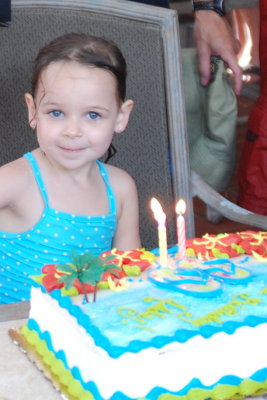 Addy's 3rd birthday party!