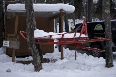 Wintergreen Dogsledding Adventure