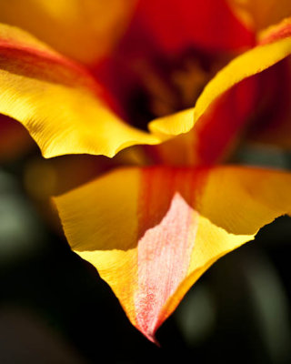 g1/54/763254/3/111944574.YsfxQTQa.jpg