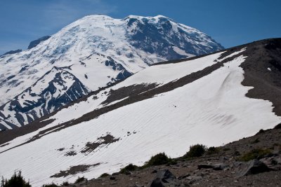 Second Burroughs trail