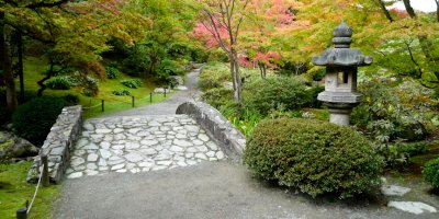 Japanese Garden Fall Color