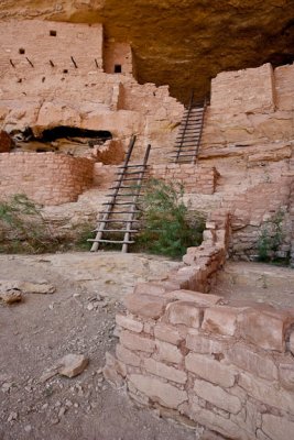 Long House ladders