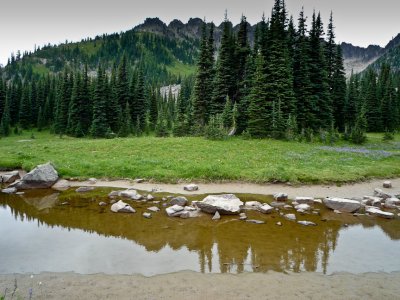 Tadpole lake1