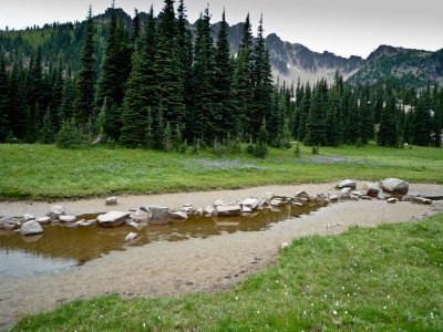 Tadpole lake2