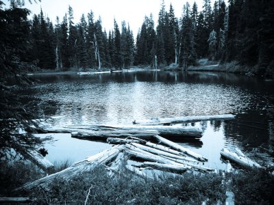 Lake near Dick's Camp
