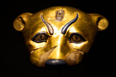 Leopard Mask