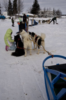 Harnessing up the teams