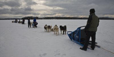 Wintergreen Dogsledding Adventure