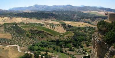 Ronda Pano