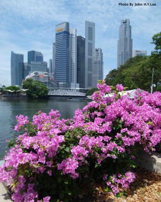 Garden City View