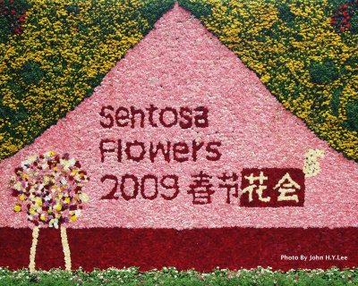 Sentosa Flowers 2009