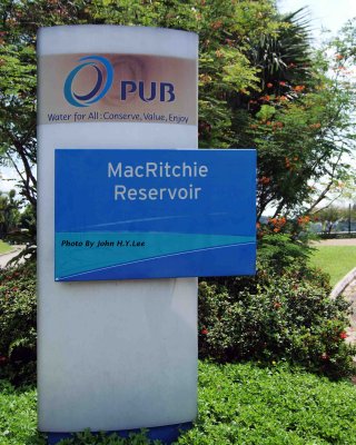 MacRitchie Reservoir Revisited
