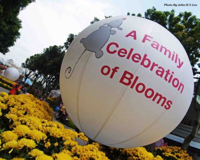 Balls Of Blooms