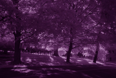 infrared