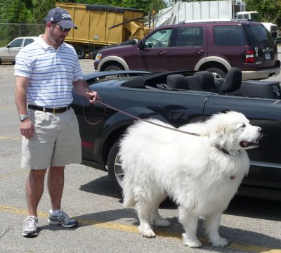 Biggest Dog