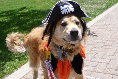 Tipper - Johnny Depp