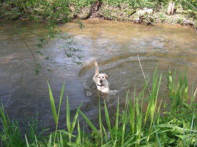 et l'eau n'est pas sale !