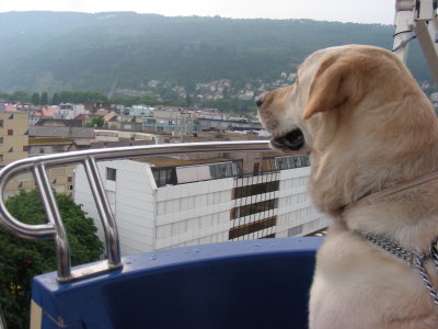 braderie 2010 sur la grande roue !