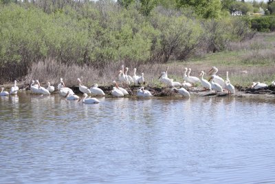 IMG_9603.JPG