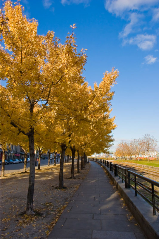 RB_MG_7528.jpg