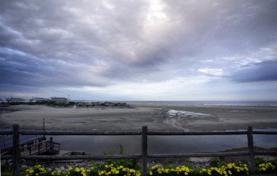 Ginette Denault - Mare basse  Ogunquit