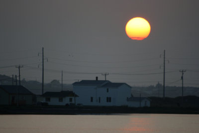 CB_t2007- 214.jpg