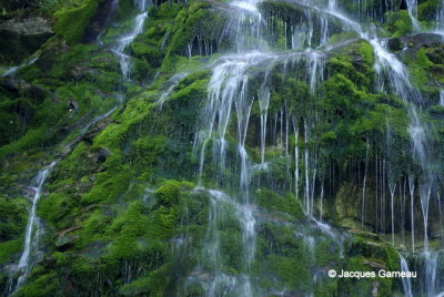 JG_LA CHUTE (PARC FORILLON)_IGP6307.JPG