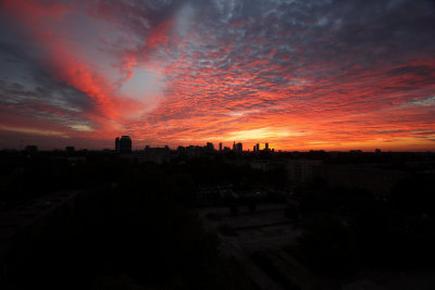 2771955224_157b737974_b.jpg