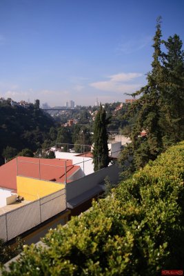 Bosque de Molino / MexicoCity